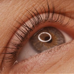 laminazione ciglia, Zagara Ritual e spa L'Aquila