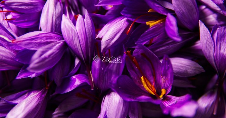 I Benefici dello Zafferano per la pelle: il segreto di bellezza di Tindora Cosmetics - Evento Zagara Ritual e spa l'aquila