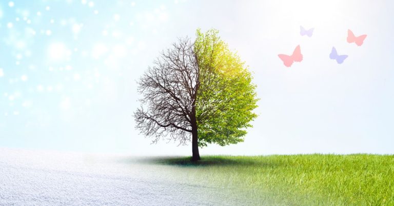 Il cambio di stagione è un passaggio di adattamento fisico ed emotivo: ascolta il tuo corpo - Zagara spa l'aquila