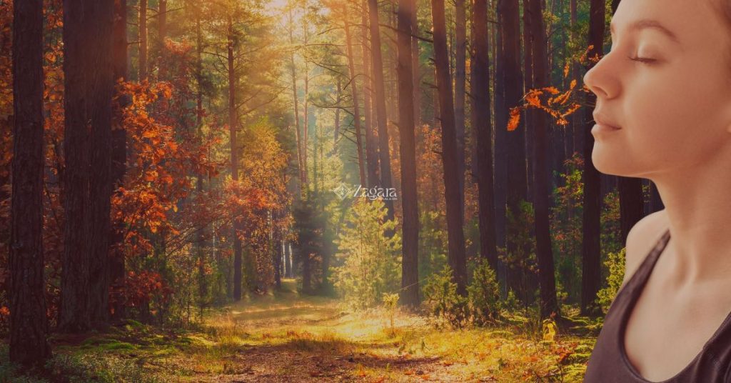 Stress e tensioni accumulate? Ecco perché settembre è il mese giusto per lasciar andare - Zagara spa l'aquila