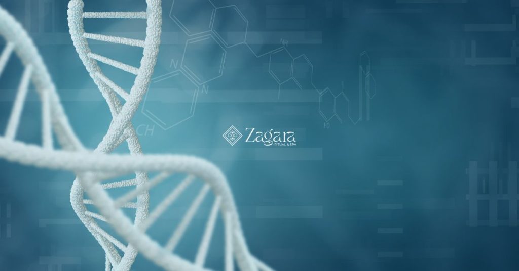 Come capire se la tua pelle ha bisogno degli esosomi (prima ancora di applicarli) - Zagara spa l'aquila