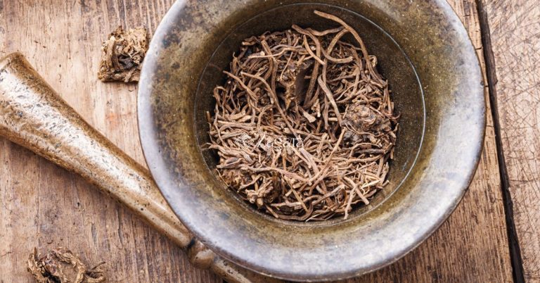 Medicina Tradizionale Cinese: ritrovare l’equilibrio tra corpo, mente ed energia - Zagara spa l'aquila